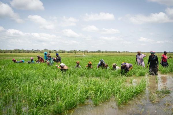 La BAD approuve un prêt de 66 millions $ pour renforcer les fonds propres de la Banque de développement agricole de Tanzanie