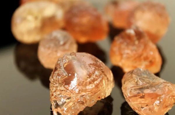 Essor de la production de gomme arabique au Tchad : une. tendance haussière en 12 ans