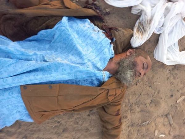 Mali - Lutte contre le terrorisme : Les FAMa neutralisent Abdoulwahab Ould Choghib, un des plus grands dirigeants de Daesh au Sahel