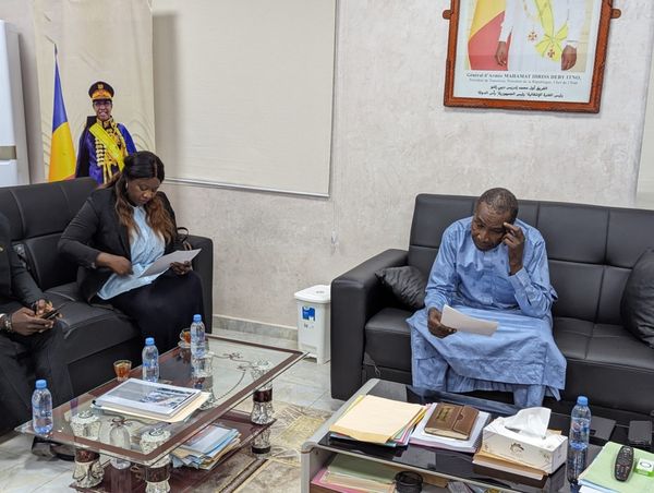 Tchad : Rencontre fructueuse entre l’ambassadrice Kitoko Gata Ngoulou et le Directeur Général de la SNE