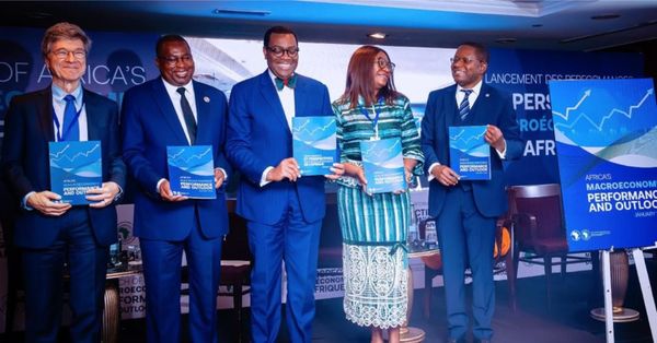 L’Afrique domine le classement des vingt pays à la croissance économique la plus forte au monde en 2024