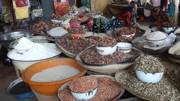 Tchad : quelles mesures le gouvernement prendra-t-il pour sauver son peuple de la faim ?