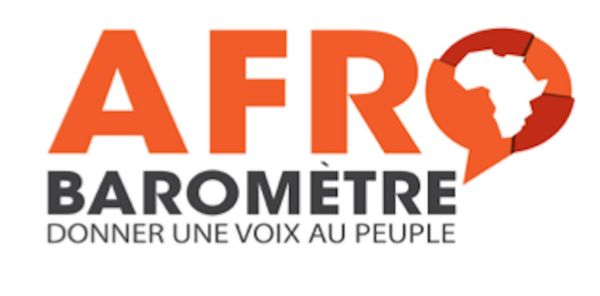 Tchad : avis d’appel d’offres pour le recrutement d’un Partenaire National d’Afrobarometer