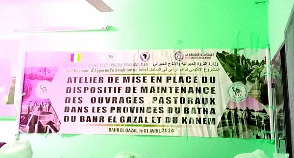 Tchad : Le ministère de l'élevage et des productions animales à travers le PRAPS II anime un atelier de mise en place d'un dispositif de maintenance des ouvrages pastoraux au Bahr El Gazel