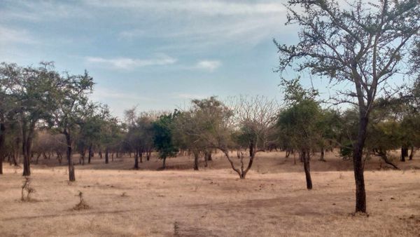 Tchad : les braqueurs ont emporté sa moto près d'Am-Timan après l'avoir froidement abattu