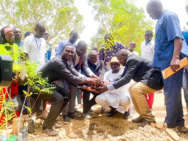 Tchad : CREPE-Tchad œuvre pour la protection de l'environnement