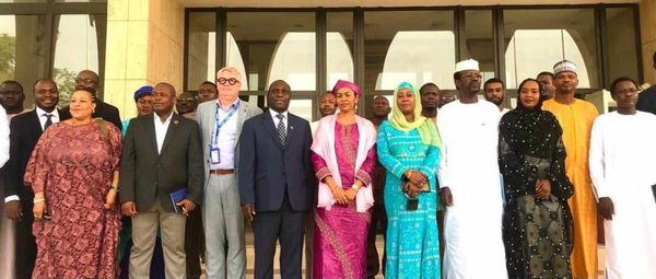Tchad : ouverture à N’Djamena de l’atelier de validation politique de l’ENV