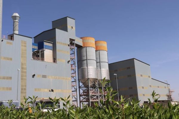 CIMAF TCHAD : Un acteur clé dans le développement économique et environnemental du Tchad