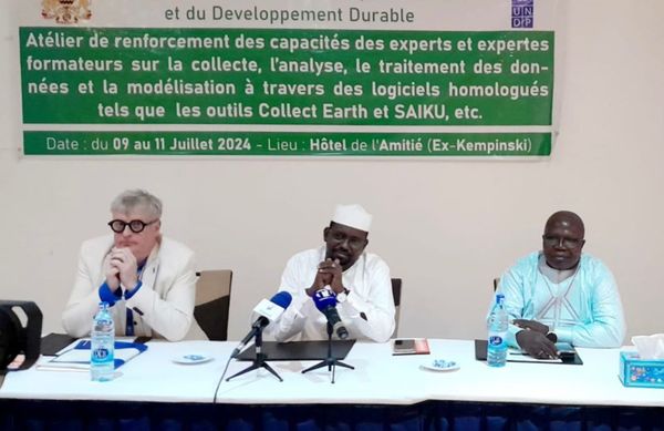 Tchad : renforcement des capacités des experts sur la collecte et le traitement des données et de modélisation