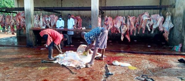 Tchad : ​L'air d'abattage de Kélo met mal à l'aise la population environnante