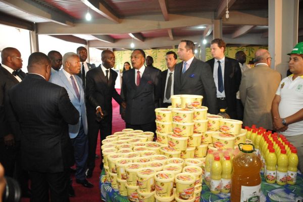 Production d’huile de palme au Congo : plus de 6000 litres attendus par heure à la Société Eco-Oil Energie