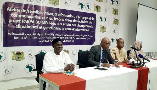 Tchad : atelier de sensibilisation sur le projet PAEPA SU MR lié au changement climatique à N'Djamena