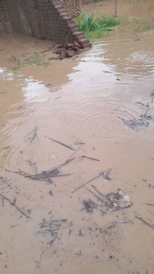 Tchad - Inondations catastrophiques à Aradib : le Bahar Azoum déborde et met des vies en danger