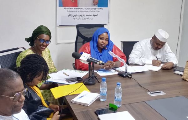 Tchad : échanges au ministère de l’Action sociale sur la réponse d’urgence aux sinistrés