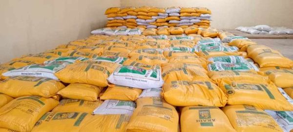 Tchad : au Mandoul, don de 1500 sacs de riz aux victimes des inondations dans la province