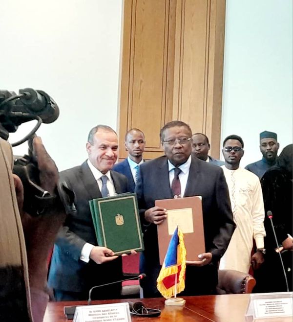 Tchad-Egypte : signature d’un mémorandum d'entente dans le domaine de l'élevage