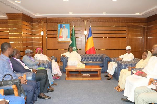 Tchad - Les élections sous le microscope : Les observateurs internationaux livrent leur verdict