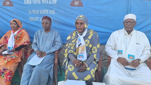 Tchad : ​Le RDP dévoile ses candidats pour les élections sénatoriales du 25 février 2025