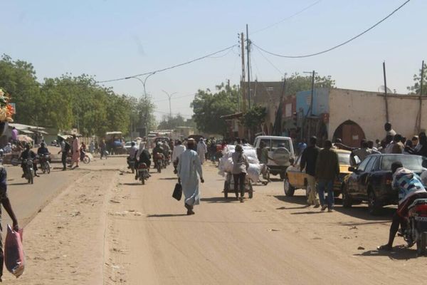 Tchad : à quand les espaces verts dans les communes de Ndjamena ?