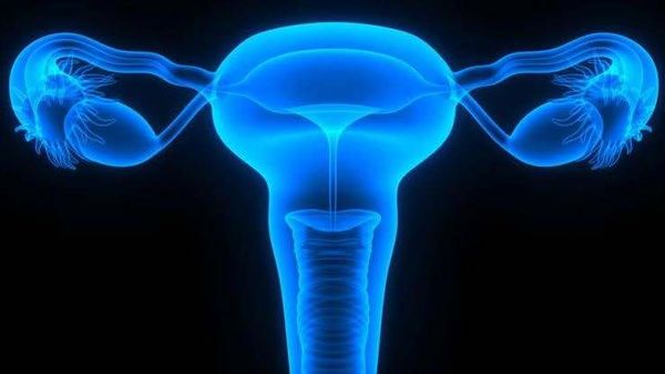 Santé : fibrome, un obstacle pour les femmes en âge de procréer