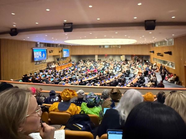 Participants à la séance de clôture de la soixante-neuvième session de la Commission de la condition de la femme (CSW69 / Bei
