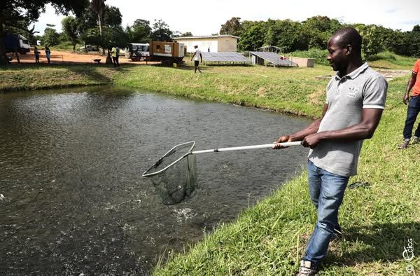 Pêche, aquaculture et élevage en Côte d'Ivoire : le ministre Sidi Tiémoko Touré invite les jeunes à s'intéresser à ce secteur plein d'avenir