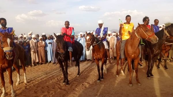 Tchad - Guéra : Une course de chevaux pour renforcer la cohabitation pacifique entre agriculteurs et éleveurs