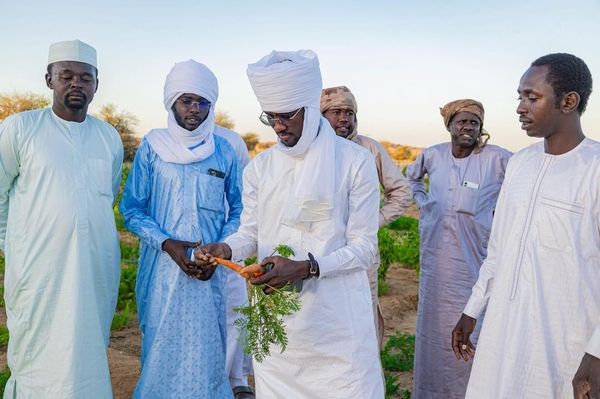 Tchad : L'ONAPE évalue l'Impact de son soutien aux coopératives féminines d'Amdjarass