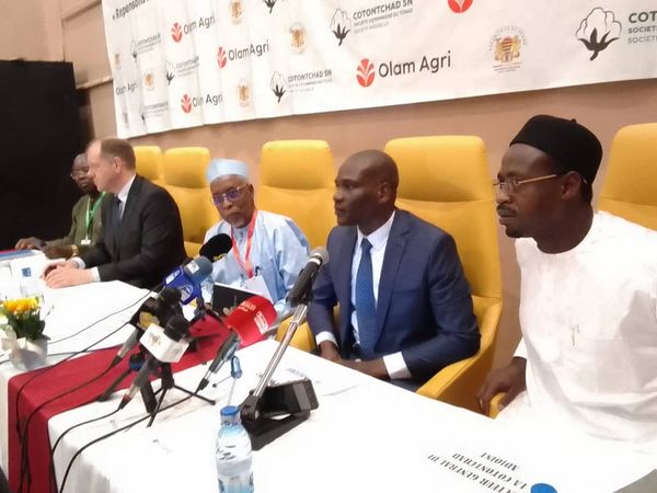 Tchad : la filière coton au cœur d’une réflexion nationale pour sa relance et sa modernisation