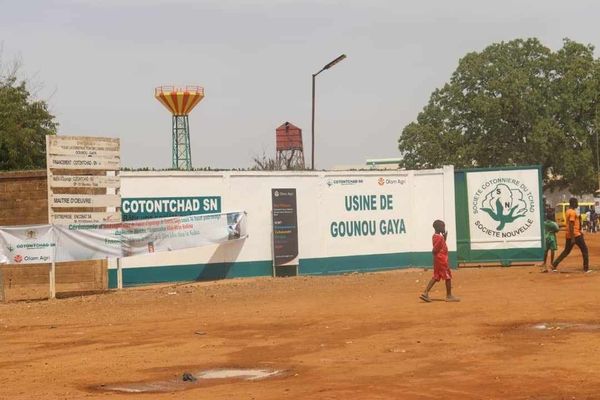 Tchad : le Premier ministre inaugure l’usine d’égrenage de coton de Gounou Gaya