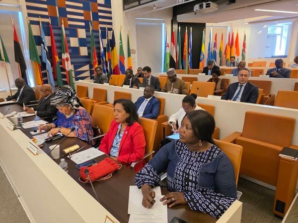 Tchad/États-Unis : L'Ambassadrice Kitoko Gata Ngoulou participe à la réunion du Corps Diplomatique Africain à Washington