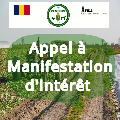Tchad : Recrutement d'un Consultant pour la mise en place d'une plateforme numérique de gestion des plaintes (RENFORT)