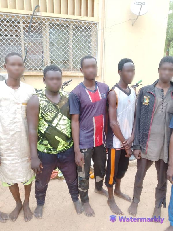 Cameroun-Region du Nord : La Sûreté Nationale multiplie les opérations coup de poing et des descentes de police