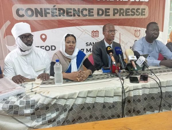 Tchad : L'ONAT publie la liste officielle de ses architectes membres pour 2025