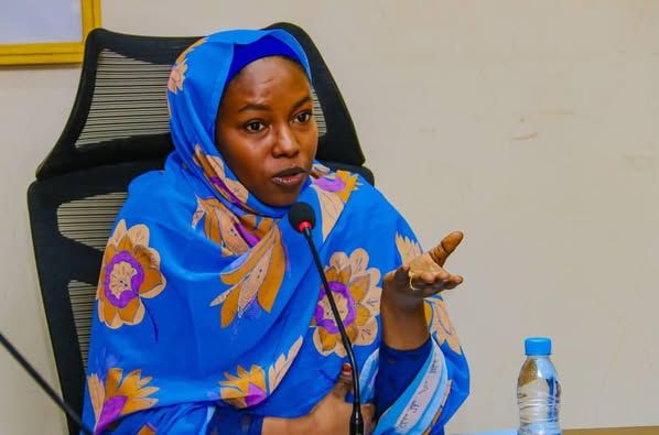 Tchad : Les recettes des Transports de Surface atteignent 85% en cinq mois