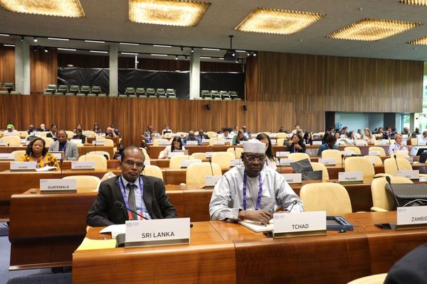 Tchad : La Commission d'Application des Normes de l'OIT formule des recommandations sur le travail des enfants