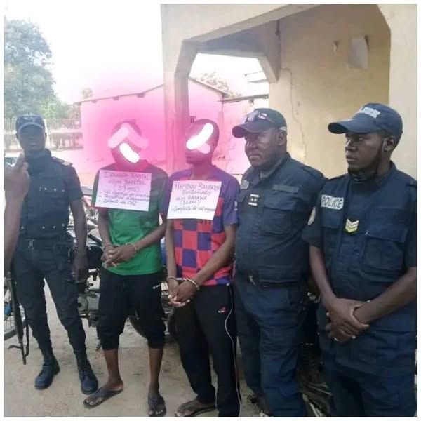 Cameroun : Un gang de braqueurs démantelé à Moulvoudaye dans l'Extrême-Nord