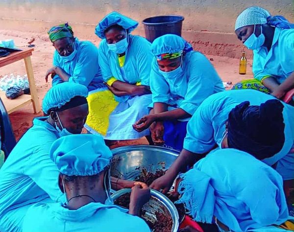 Tchad : au Mandoul, le néré est le nouveau levier d’autonomisation des jeunes