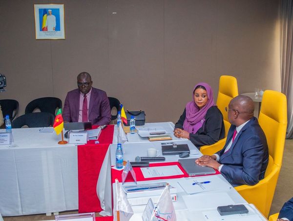 Tchad : Le Tchad représenté à l'Assemblée Générale de COTCO