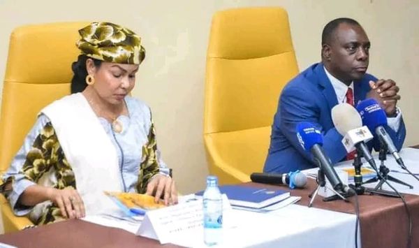 Tchad : réunion bilan autour des objectifs de développement durable