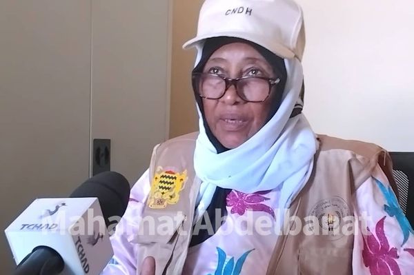 Tchad : La CNDH mène une mission d'enquête et d'apaisement dans le Salamat