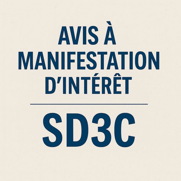 Tchad : Appel à Manifestation d'Intérêt n°004 pour le recrutement d'un cabinet d'études (SD3C)