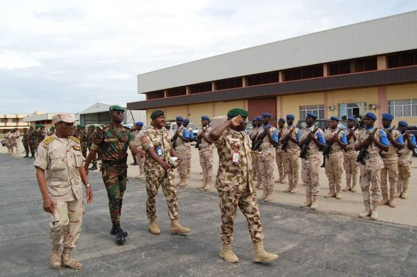 Lac Tchad : La Force Mixte Multinationale et l'Opération Émergence 4 unissent leurs forces contre le terrorisme