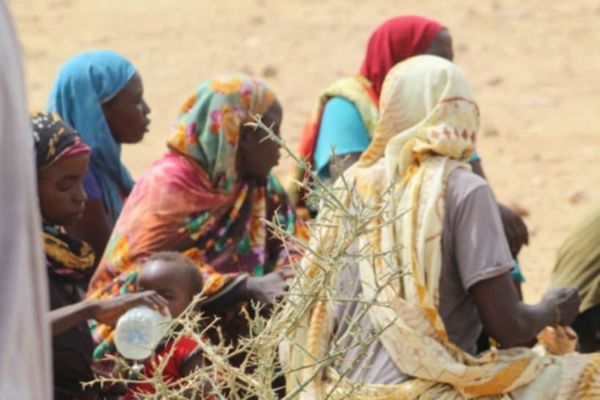 Tchad : urgence humanitaire à l’Est, pénurie d’eau, flambée des prix et malnutrition menacent des milliers de personnes