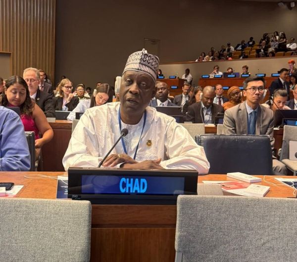 Forum politique de haut niveau 2025 : Dr Ahmat Mbodou Mahamat plaide pour un soutien financier en faveur du Tchad