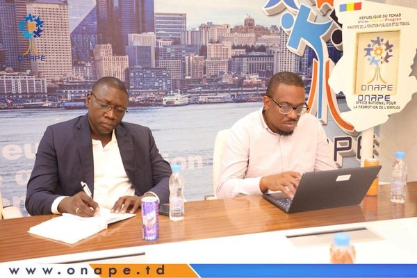 Tchad : L'ONAPE et la Banque Mondiale en concertation pour le développement des PME