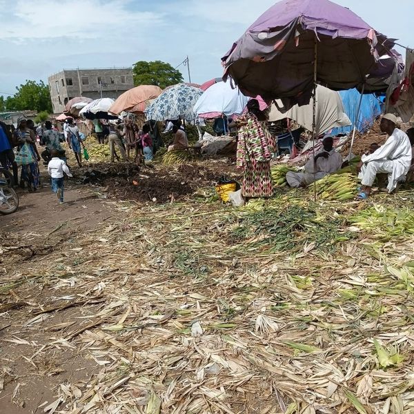 N'Djamena : Le marché de Taradona se revitalise avec les nouvelles récoltes paysannes