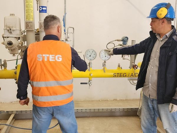 Tunisie : le projet STEG alimente la transition énergétique et industrielle
