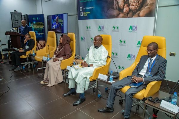 Tchad-BAD : rencontre sur la bonne gouvernance et la lutte contre les flux financiers illicites