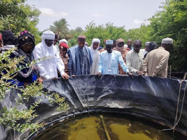 Tchad : visite du délégué général du gouvernement à la pisciculture de Mao